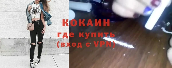 метадон Ельня