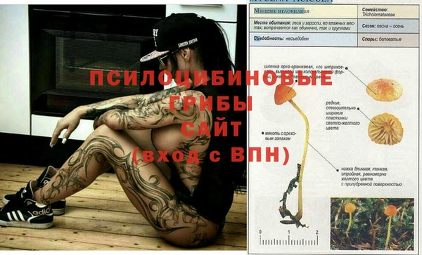 гашик Елабуга