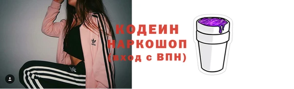 гашик Елабуга