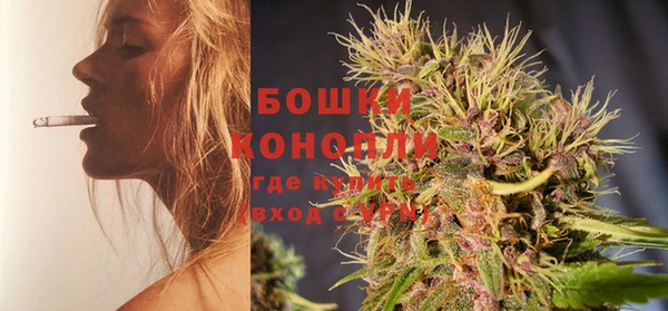 метадон Ельня