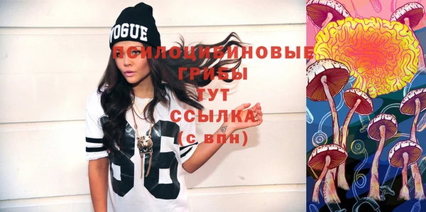 метадон Ельня